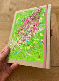 Buch Sommerflieder
