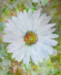 Gänseblümchen